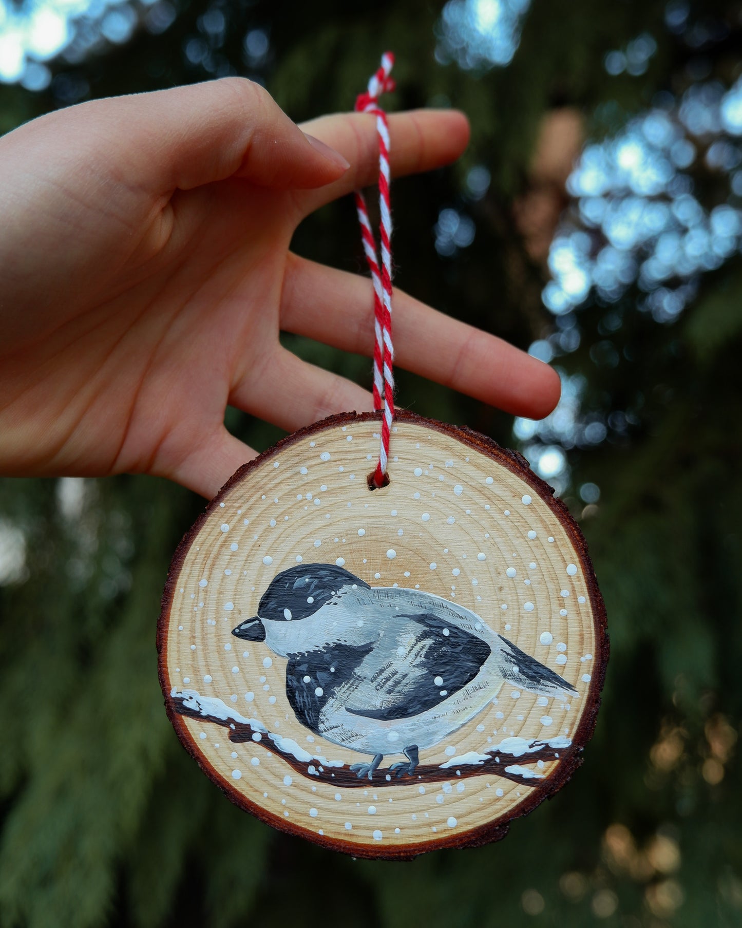 Chickadee Ornaments (3)- Hand-Painted Ornaments