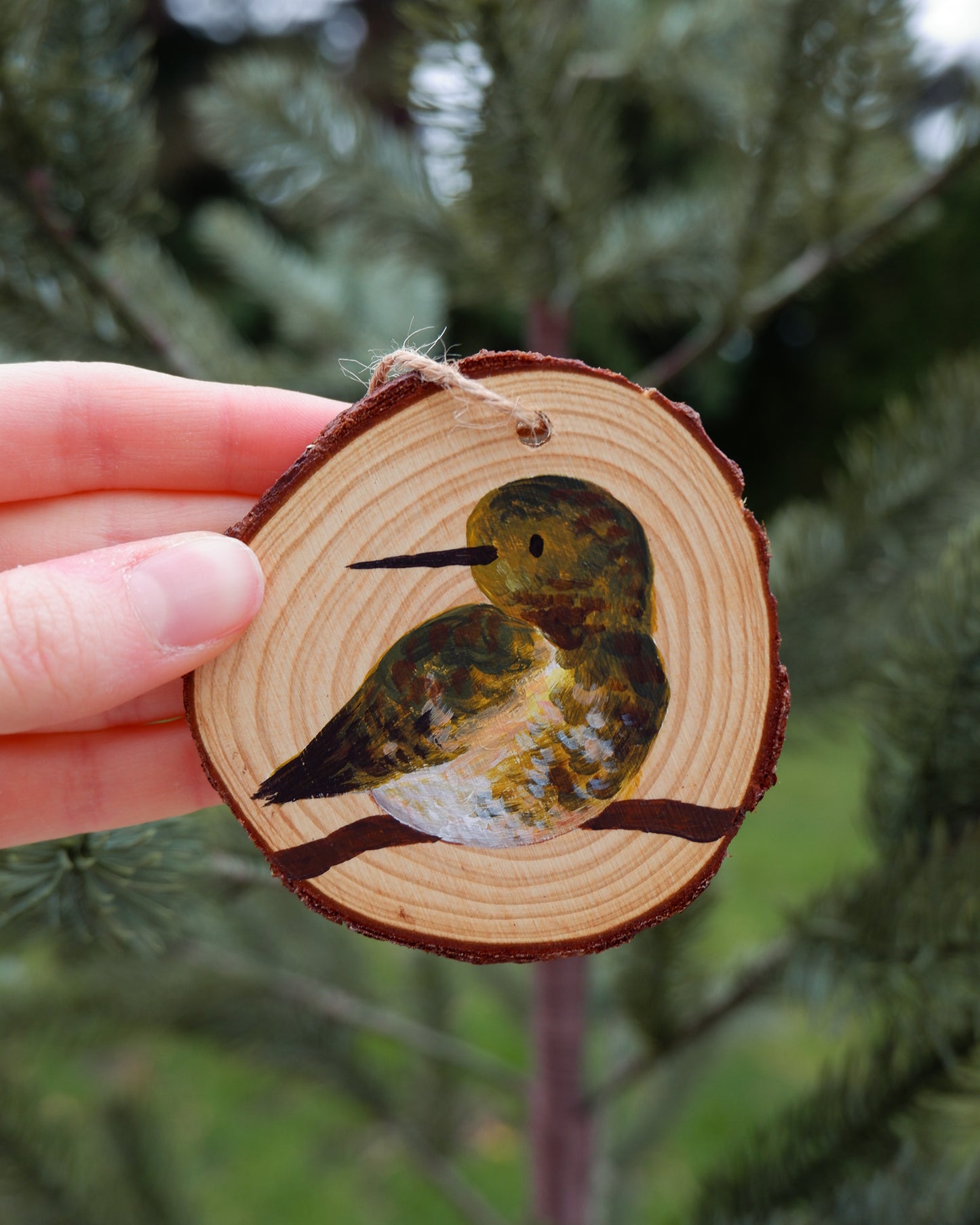 Hummingbird Ornaments (6) - Hand-Painted Ornaments