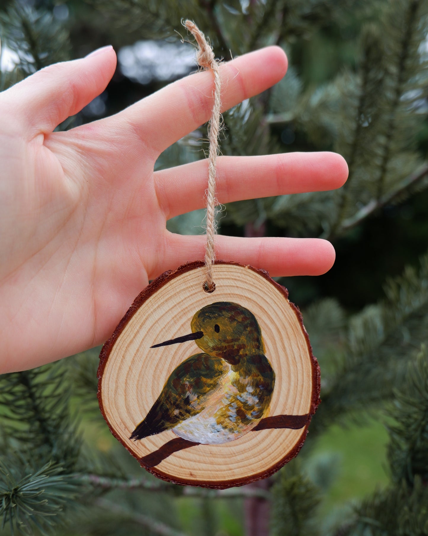 Hummingbird Ornaments (6) - Hand-Painted Ornaments