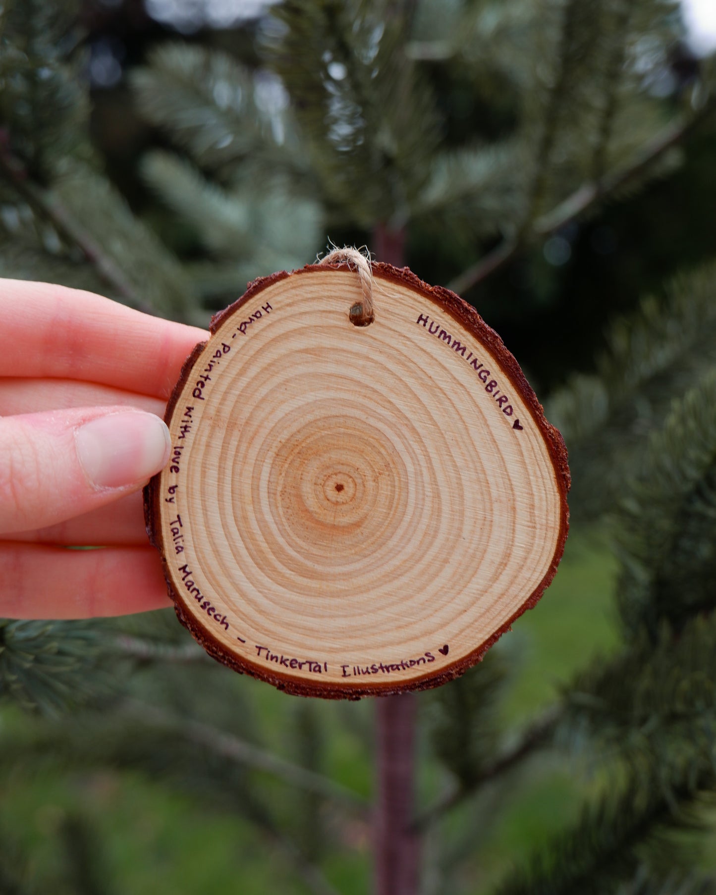 Hummingbird Ornaments (6) - Hand-Painted Ornaments