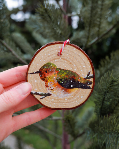 Hummingbird Ornaments (6) - Hand-Painted Ornaments