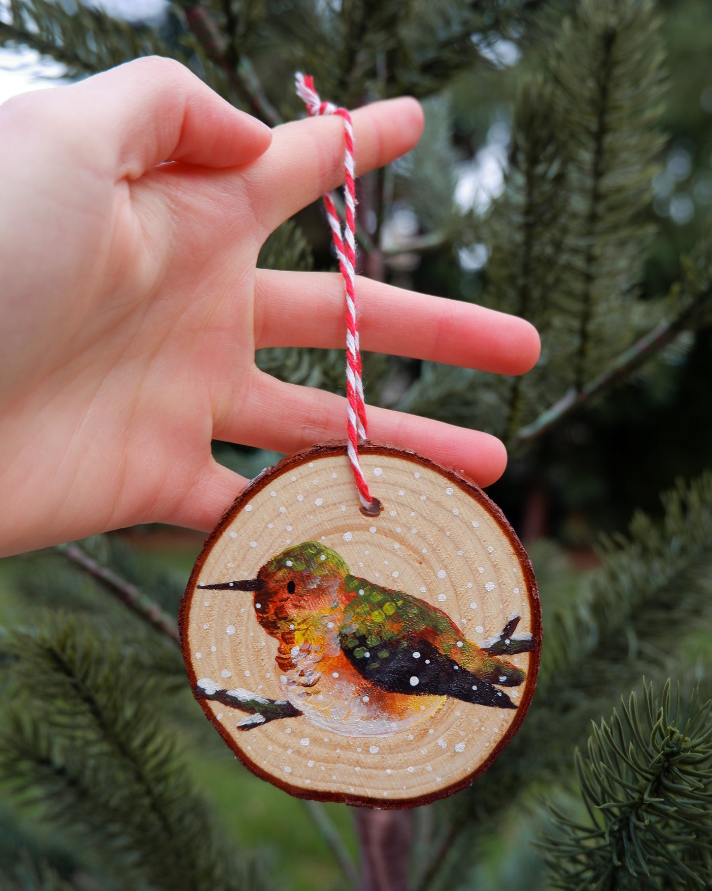 Hummingbird Ornaments (6) - Hand-Painted Ornaments