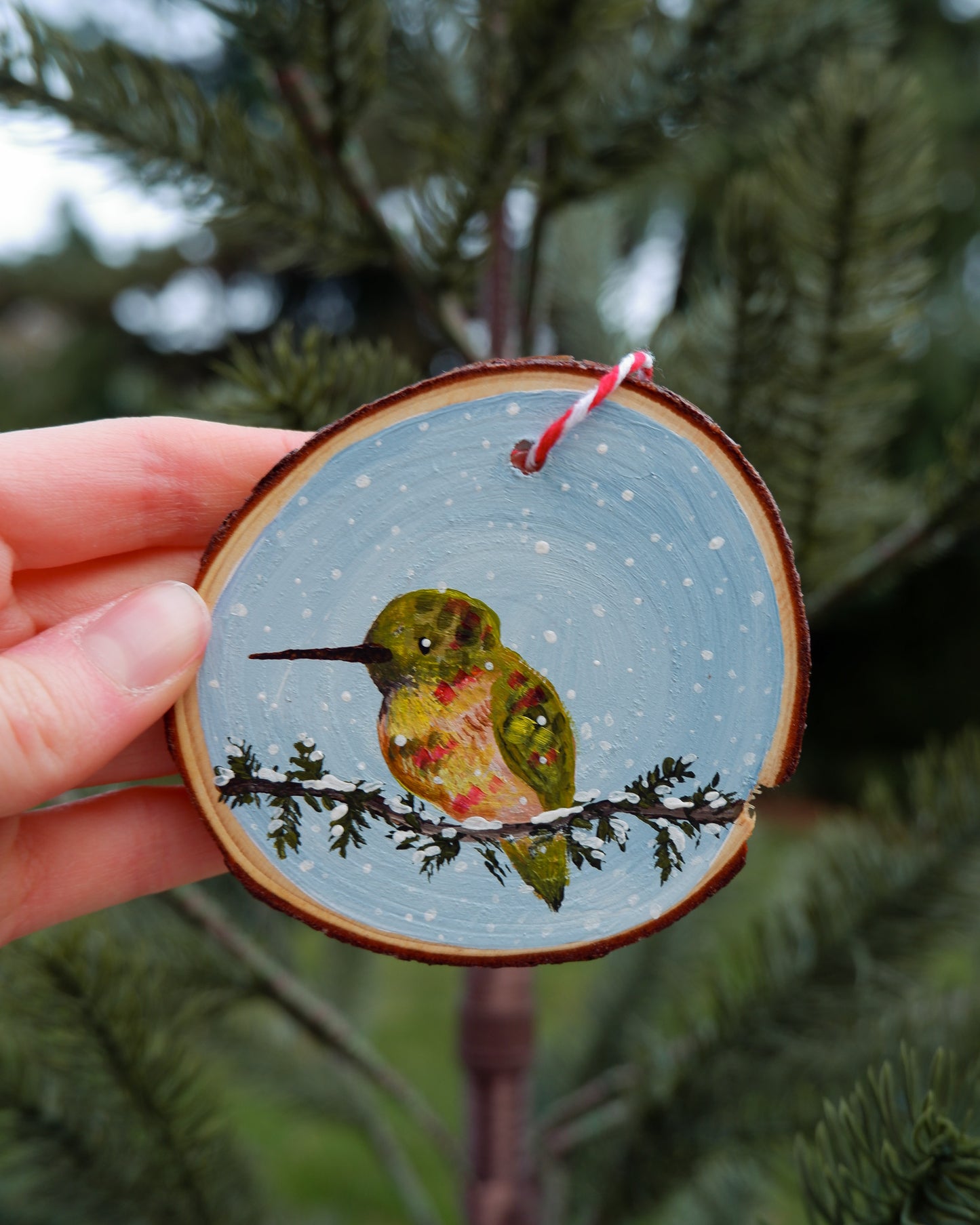 Hummingbird Ornaments (6) - Hand-Painted Ornaments