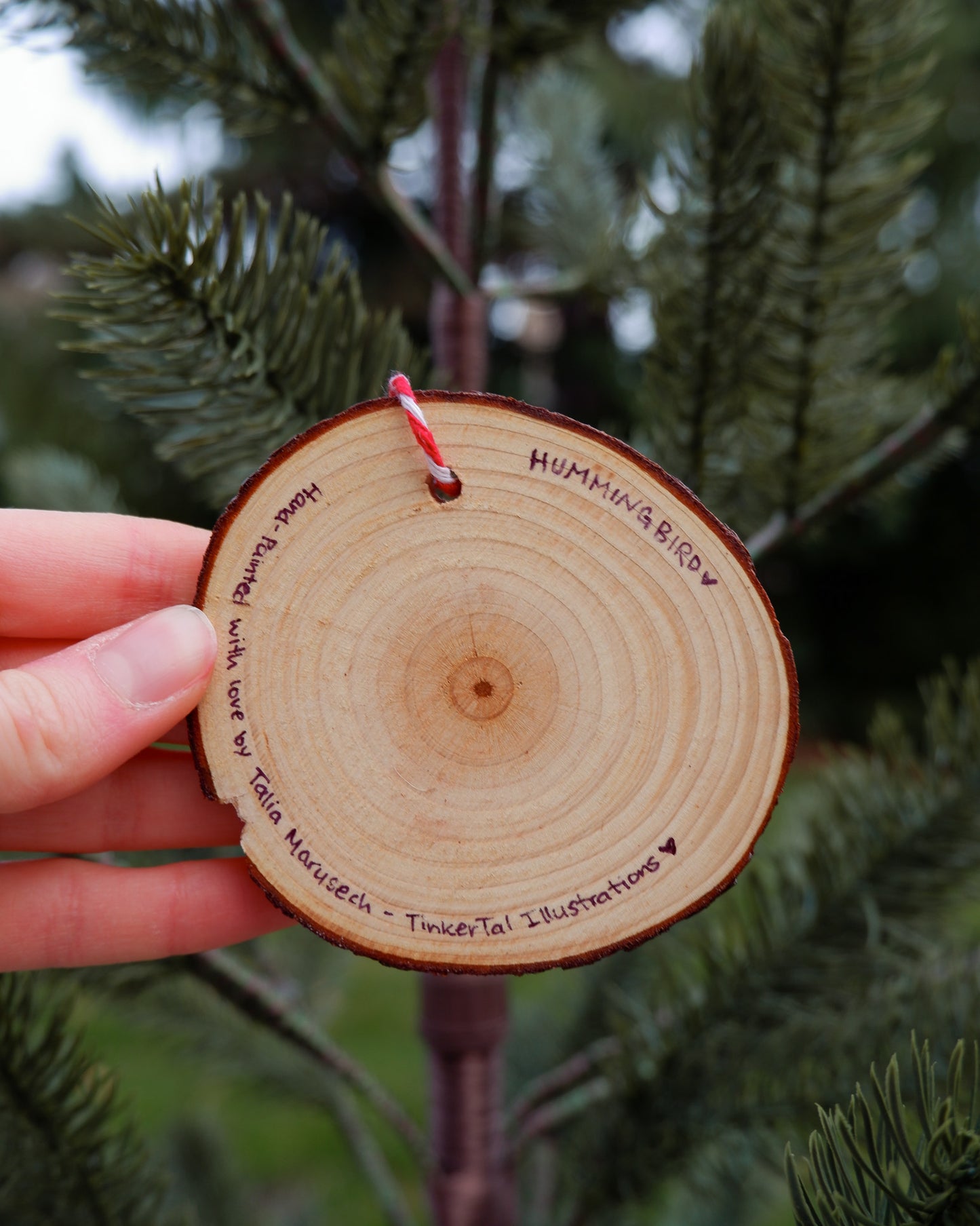 Hummingbird Ornaments (6) - Hand-Painted Ornaments