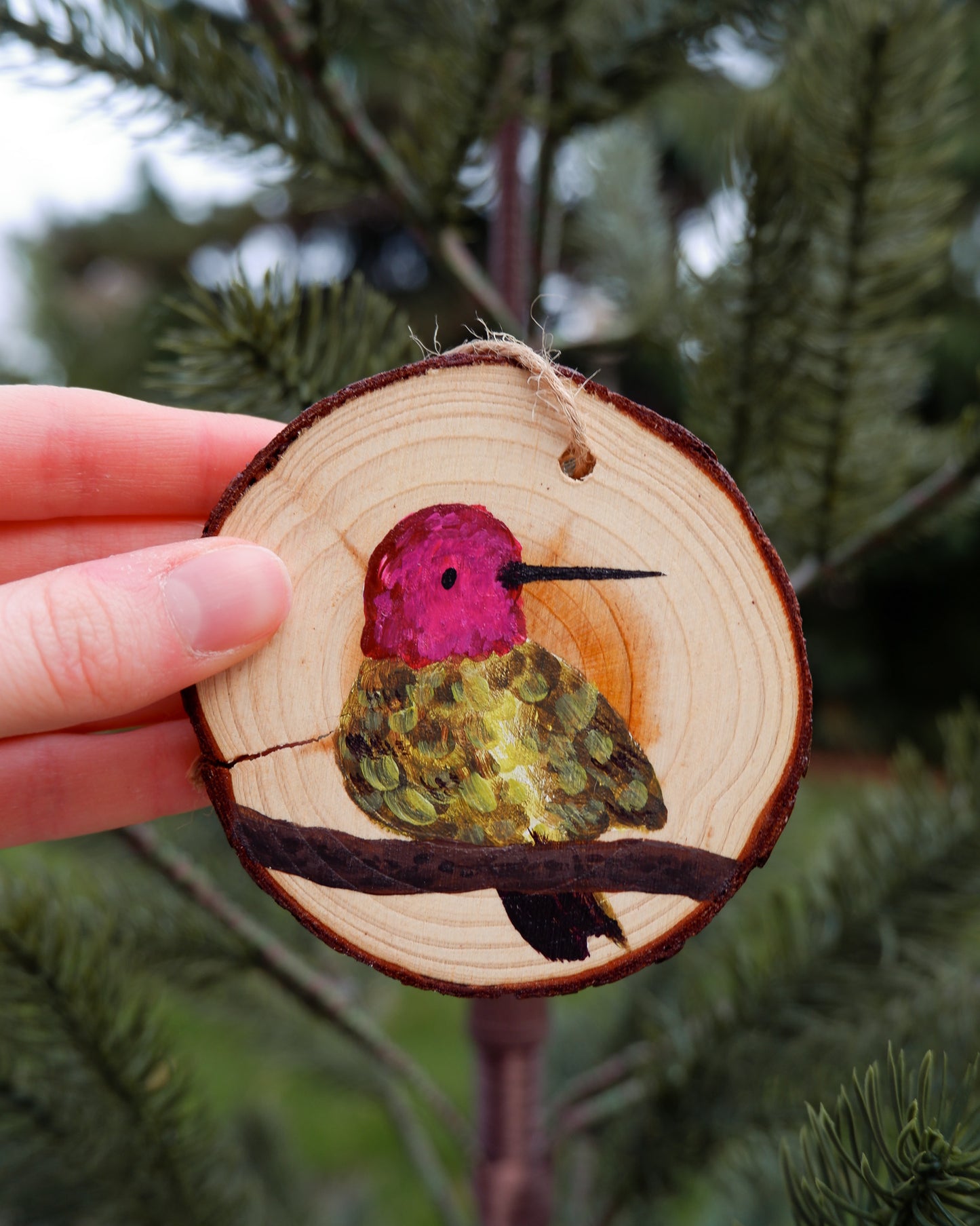 Hummingbird Ornaments (6) - Hand-Painted Ornaments