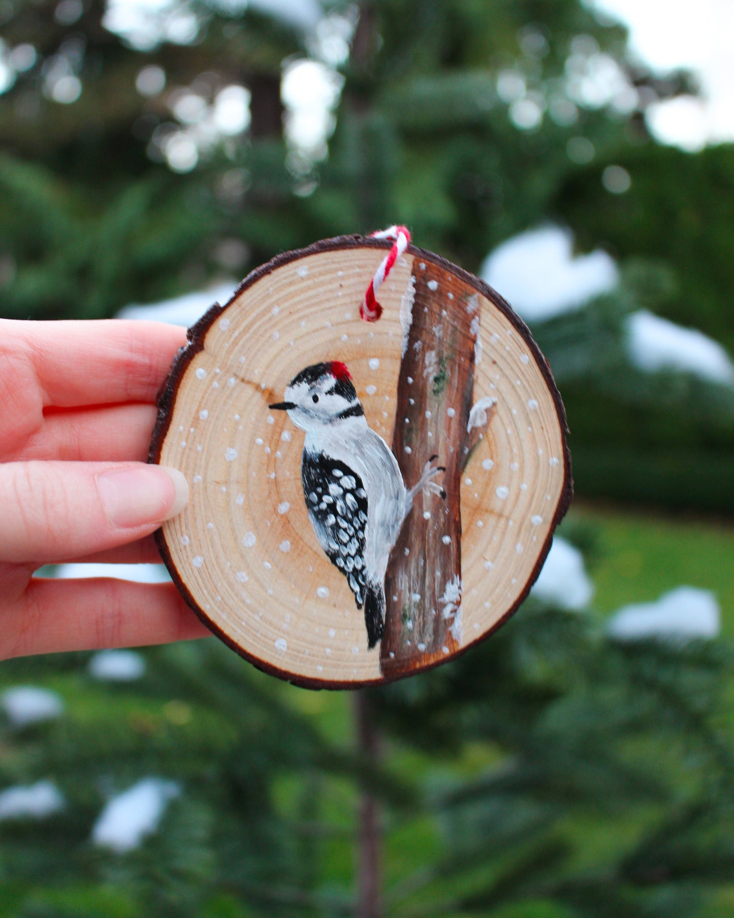 Woodpecker Ornaments- Hand-Painted Ornament