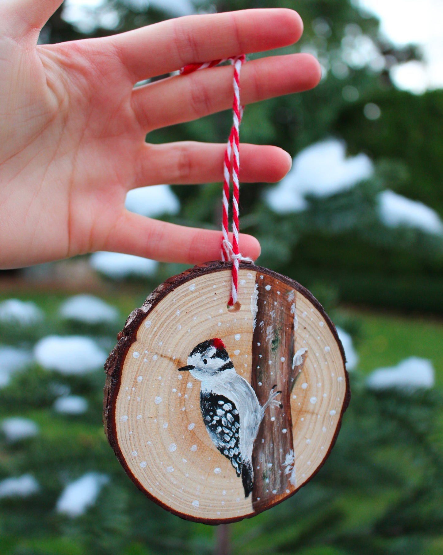 Woodpecker Ornaments- Hand-Painted Ornament