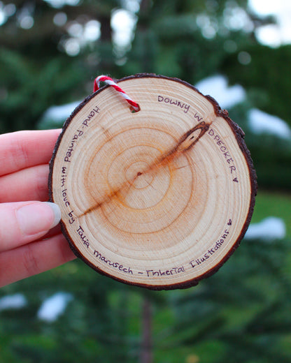 Woodpecker Ornaments- Hand-Painted Ornament