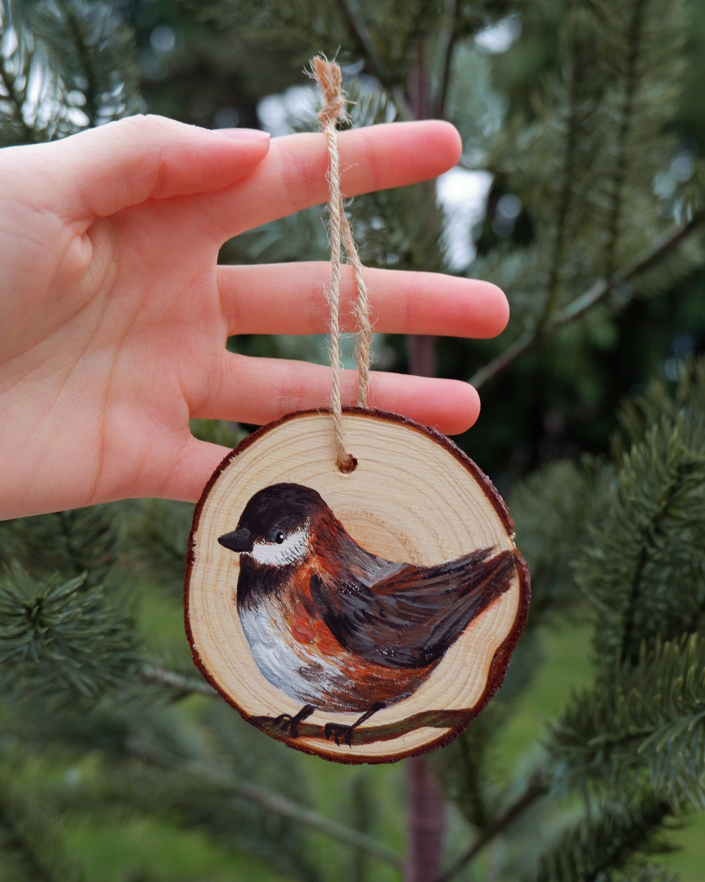 Chickadee Ornaments (3)- Hand-Painted Ornaments