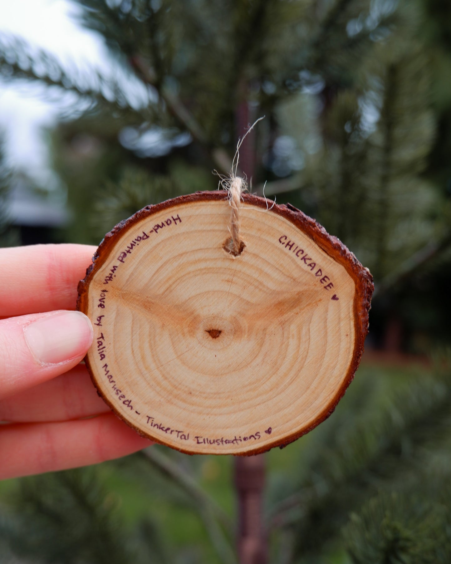 Chickadee Ornaments (3)- Hand-Painted Ornaments