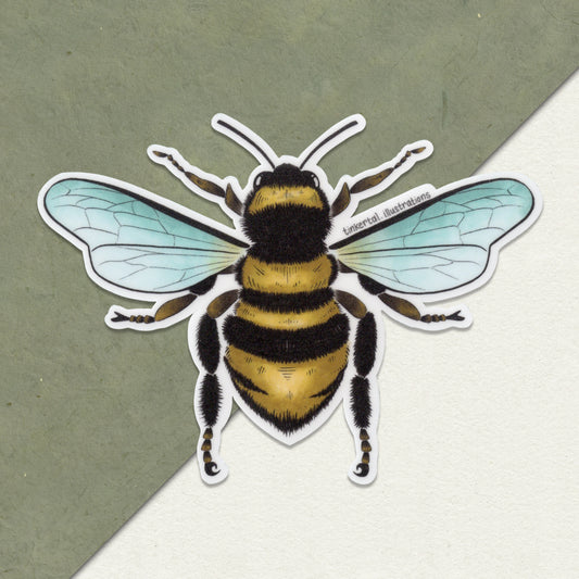 Bee Sticker - Vinyl Sticker