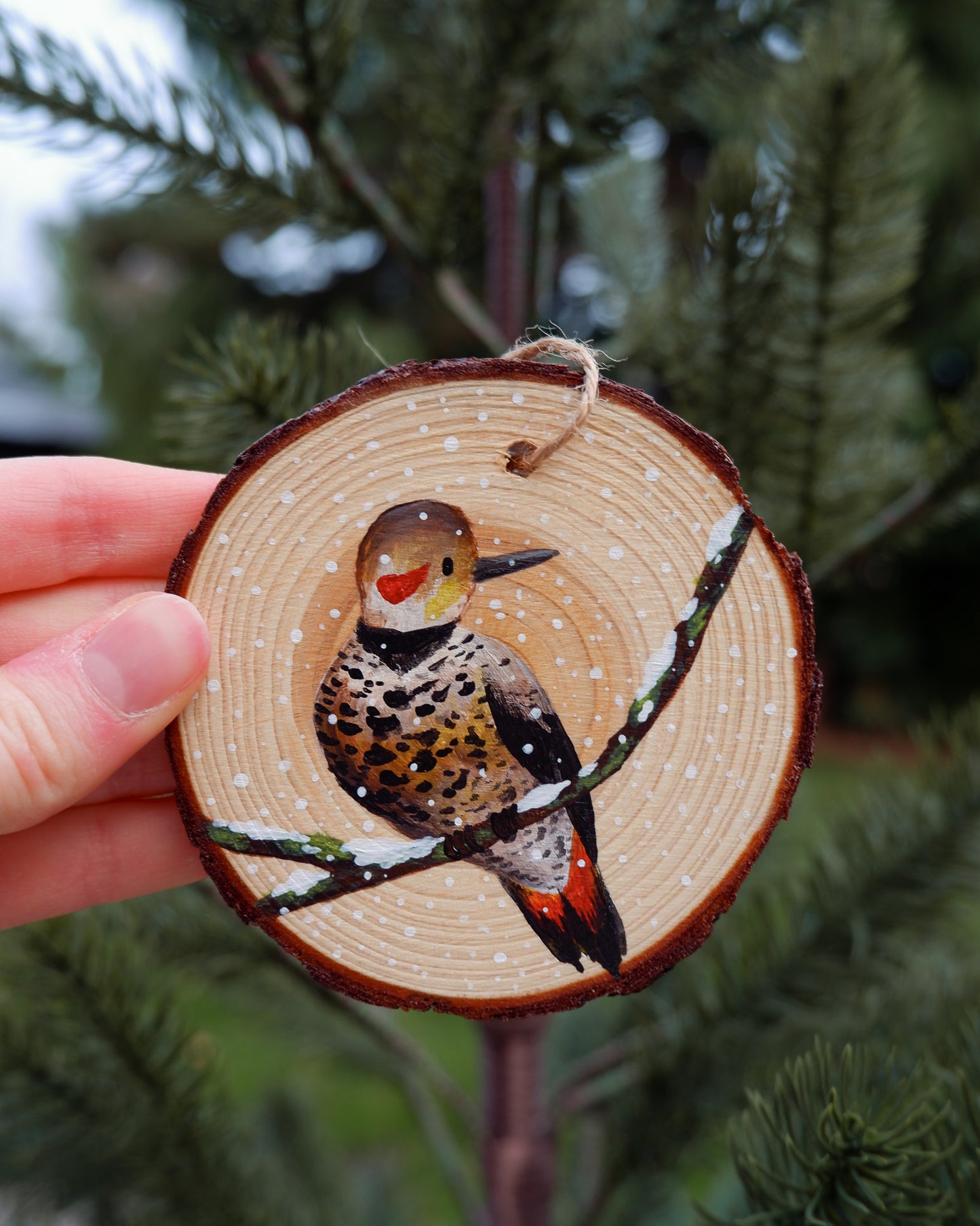 Woodpecker Ornaments- Hand-Painted Ornament