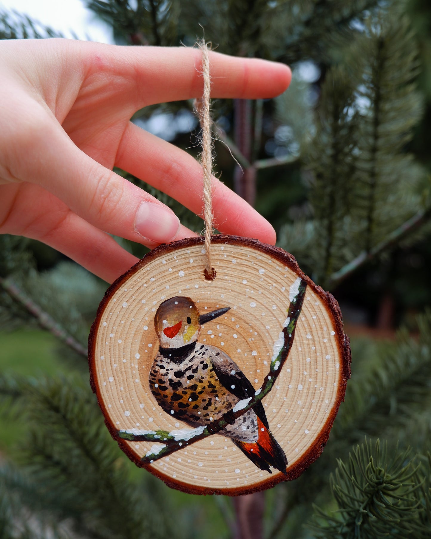 Woodpecker Ornaments- Hand-Painted Ornament